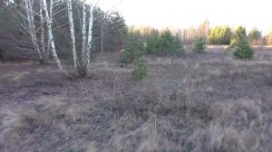 На дюнах есть находки!  Поиск с металлоискателем Simplex pl