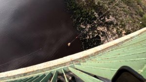 Рыба в реке Охта.