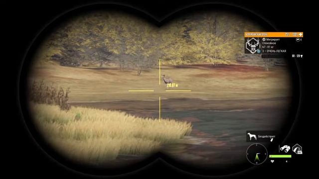 TheHunter call of the Wild ps4 | Охотник Боби! смотреть онлайн