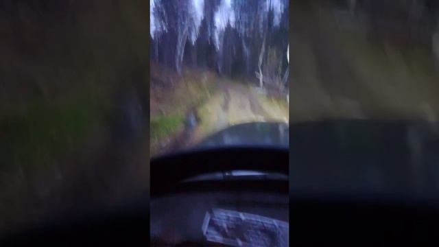 131е зилы с ямз 236 и д245.9 по бездорожью.