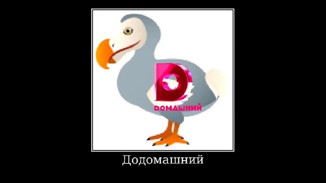📺 Телеканалы + ШИЗА = смотреть онлайн