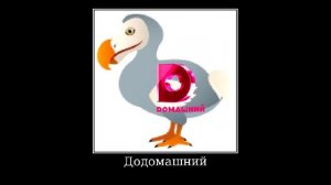 📺 Телеканалы + ШИЗА =