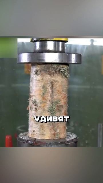 РФ ПРОТИВ США И КИТАЯ, КТО ПОБЕДИТ? 😳🤬😱 смотреть онлайн