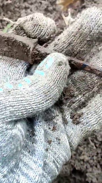 Нашел древний нож в лесу с металлоискателем #metaldetecting #? смотреть онлайн