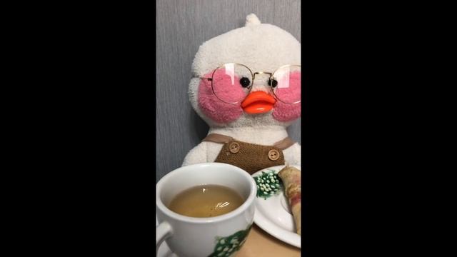 Обустраиваем новый шкаф уточки Милки !Влог с Милкой .?