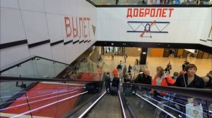 Как быть в аэропорту Шереметьево