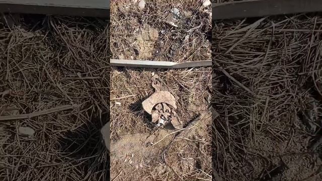 Первый коп. Коп 2024. Копаю железо. Коп. Коп Иркутск. Хоро смотреть онлайн