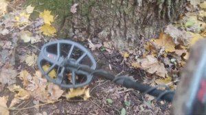 3 часа по осеннему лесу с X-Terra Elite... В поисках монет и ст?