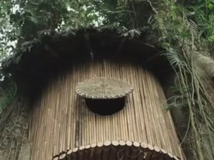 Строительство дома на дереве в джунглях