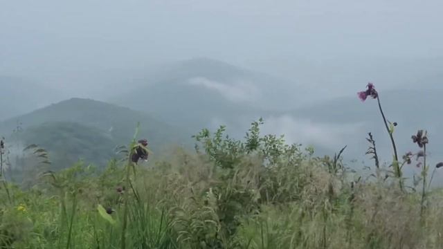 Похід на Парашку