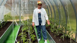 А что это у Вас в теплице