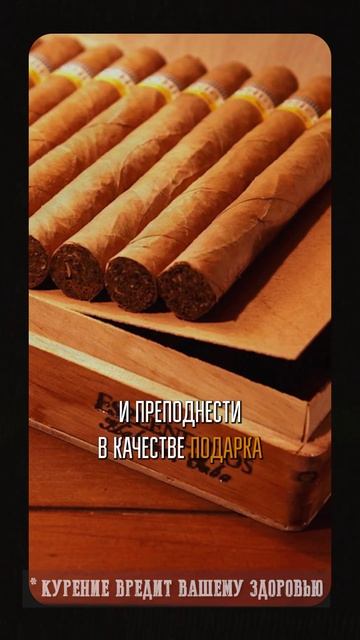 Самый ХУДШИЙ подарок байкеру! #байкеры #байкер #мотоци? смотреть онлайн