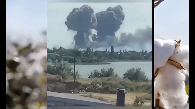 Крымский хлопок