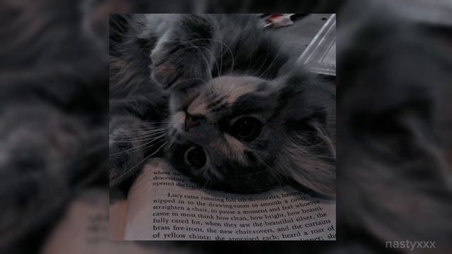 На стол (speed up) смотреть онлайн