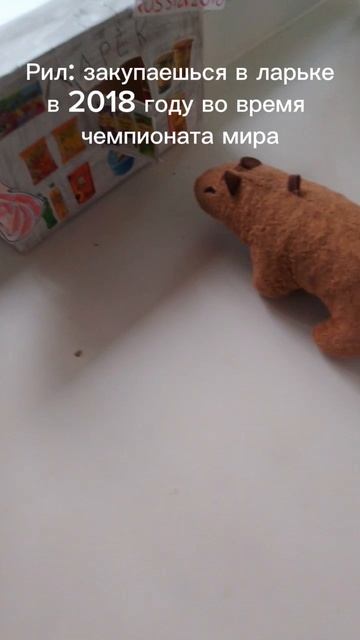 Капибарёнок Гоша