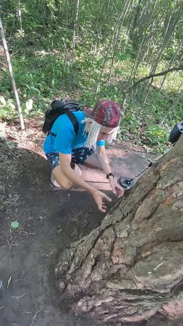 УДИВИТЕЛЬНАЯ НАХОДКА НА МЕТАЛЛОИСКАТЕЛЬ В ДЕРЕВЕ! ШОК смотреть онлайн