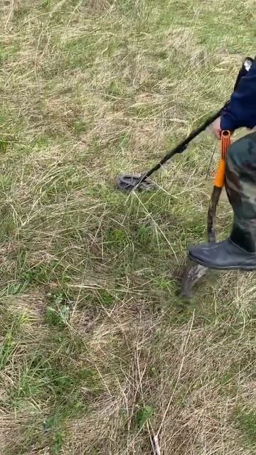 Думал шутка ТЕПЕРЬ БОГАТ #находки #metaldetecting #поискмонет смотреть онлайн