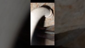 Замена задних амортизаторов Mazda 6