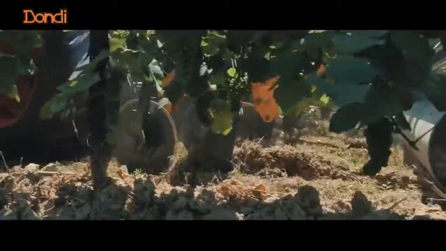 Подпочвенный рыхлитель RBRT Vitis Dondi смотреть онлайн