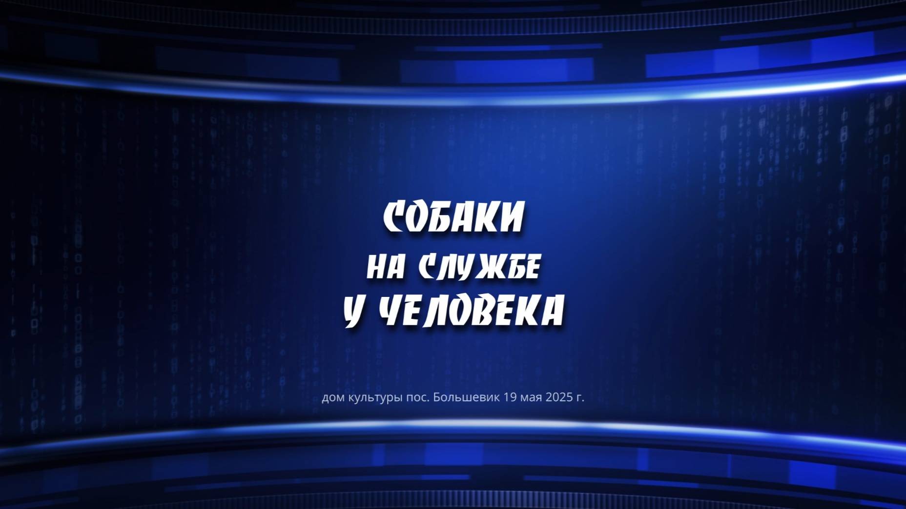 Собаки на службе у человека смотреть онлайн