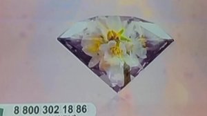 Заставка витрина ТВ 01.03.2025