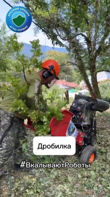 Наши «воины» уборки территории смотреть онлайн