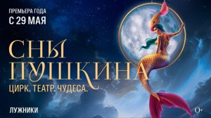 «Сны Пушкина» — репортаж с пресс-показа нового циркового шоу | 14 канал