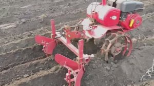 Продолжаем садить картошку.