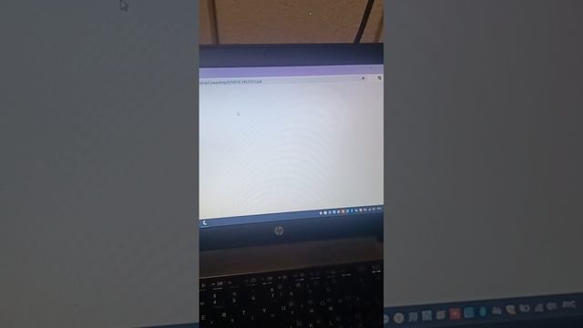 Поточный сканер Epson GT-S85 смотреть онлайн