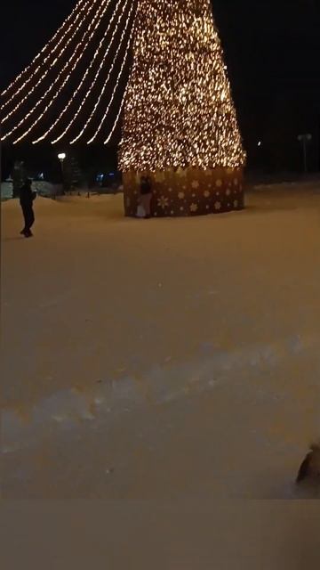 ❤️🔥Встреча с подписчиками❤️🔥 #шпиц #паприка