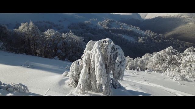 Засніжені Карпати 2021/ Snowy Carpathians 2021