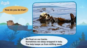 Meet the Animals 39_ Sea Otter _ Level 2 _ By Little Fox