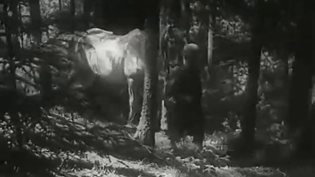 Сын полка (1946) смотреть онлайн