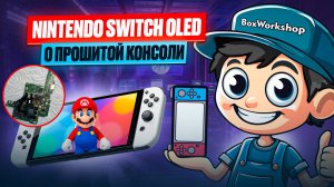 Краткое описание о прошитой NIntendo Switch чипом PikoflyRP 2040