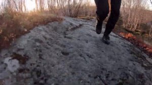 Тестирую берцы Фарадей 443