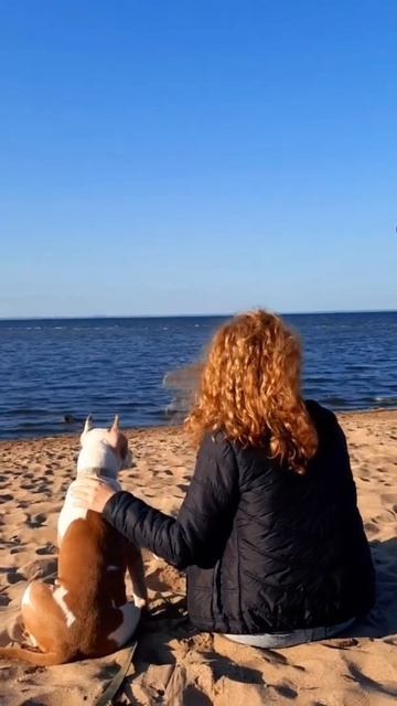 В жизни обязательно должны быть паузы... #shorts смотреть онлайн