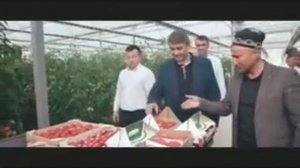 Миллионеры Из Общаги // 9-серия //Новый бизнес без грабл?