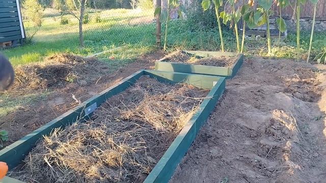Уборка в огороде. Установка тёплых грядок. смотреть онлайн