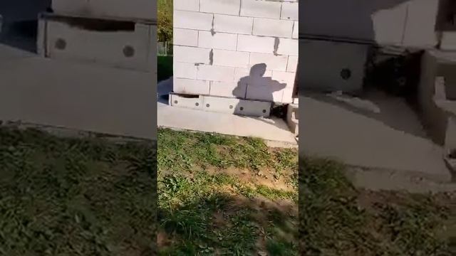 водолей бросает мяч МИМО смотреть онлайн