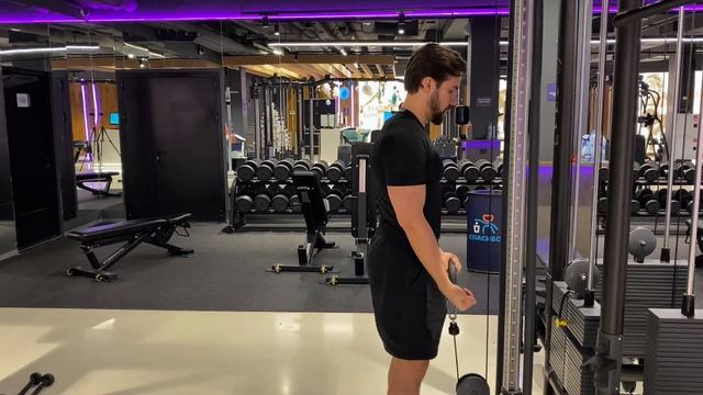 Сгибание на бицепс стоя в кроссовере смотреть онлайн