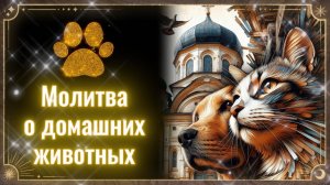 ✨МОЛИТВА О ЖИВОТНЫХ Святому Власию, Матроне, Фролу и Лавру: когда болеет 🐱кот 🐶собака #выздоровлен