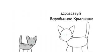 Коты воители/приколы