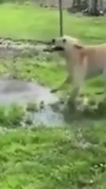 Точь-в-точь смотреть онлайн