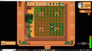 Осколок зеркала у ручья (Stardew Valley). Tanko Top