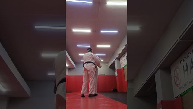 Сдача на коричневый пояс по дзюдо город Жигулёвск Кор? смотреть онлайн
