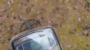 АКА Интроник и 15" 214 кГц - последняя прошивка и новый бл?