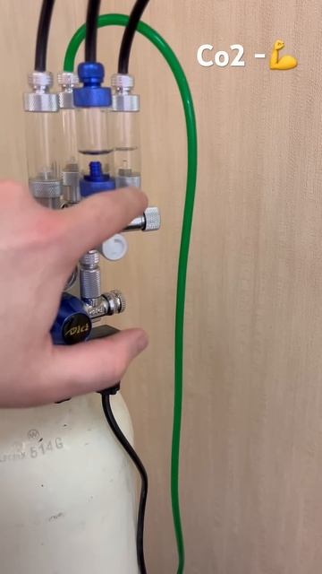 Со2 Заправил баллон углекислотой. #aquarium #co2 #аквариум смотреть онлайн