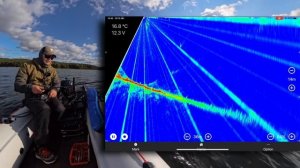 ТЕСТ НА ВОДЕ! Panoptix напрямую в ТЕЛЕФОН! Accuphy Live Sonar. Часть