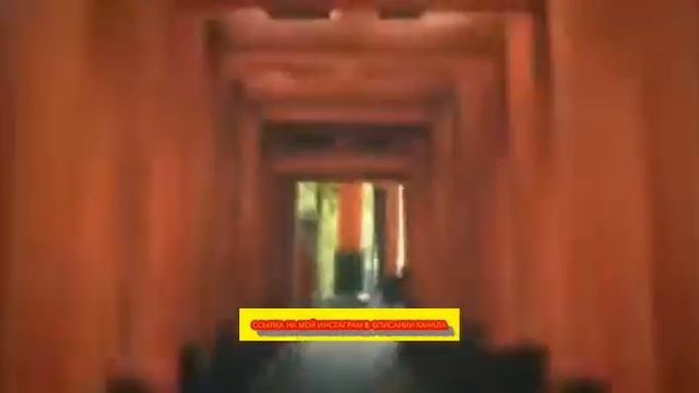 В Москве +35 ☀️, а в Японии сезон дождей и зонтов ☔️, пр смотреть онлайн