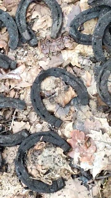 Нашел клад подков с металлоискателем #metaldetecting #клад #к? смотреть онлайн